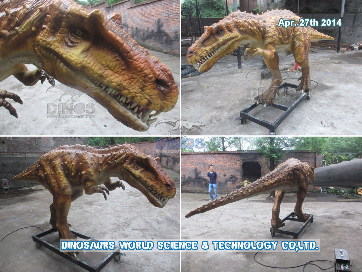 Robotic Life Size Albertosaurus Finished In Factory